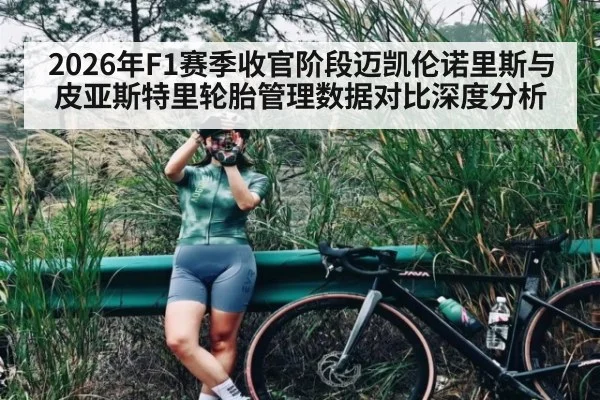 2026年F1赛季收官阶段迈凯伦诺里斯与皮亚斯特里轮胎管理数据对比深度分析